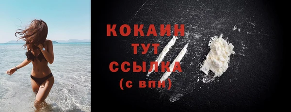 дмт Вяземский
