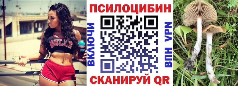 Галлюциногенные грибы прущие грибы  Ишимбай 